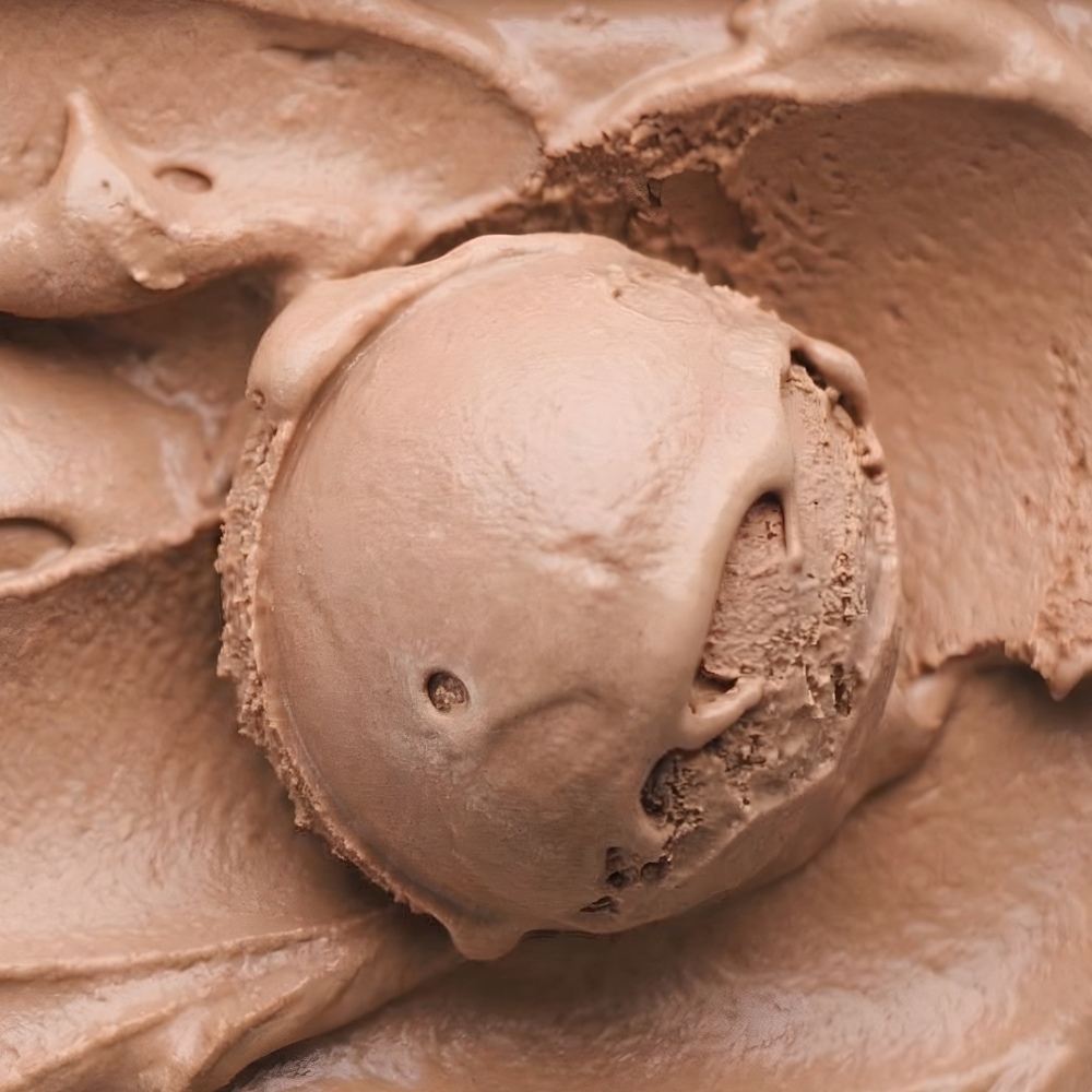 Close-up of a scoop of cocoa-only ice cream with a smooth, creamy texture.